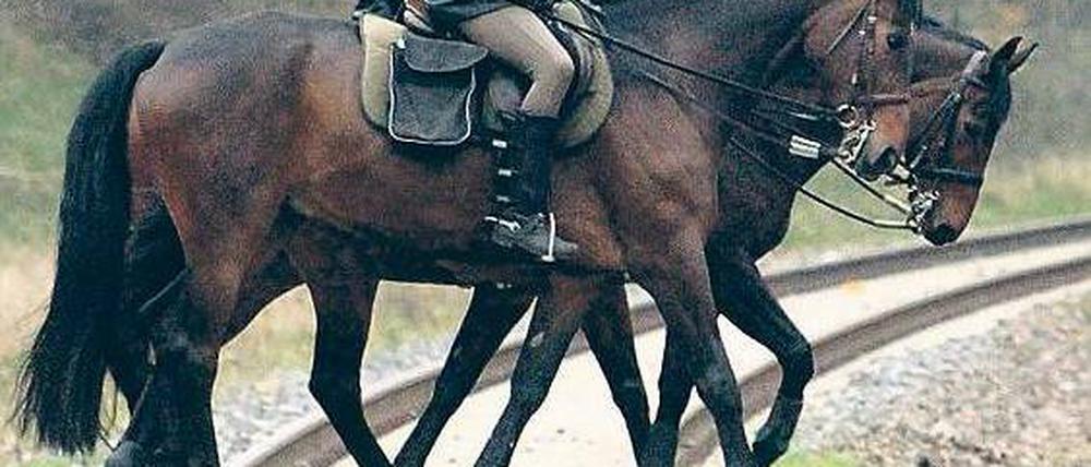 Dienst am Gleis. Sieben Länder haben Reiterstaffeln, bei den Castor-Einsätzen treffen sich Rösser und Reiter. Foto: Kay Nietfeld, dpa