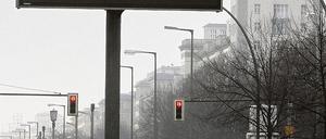 312070_0_121fd068.jpg