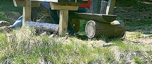 300906_0_50484128.jpg
