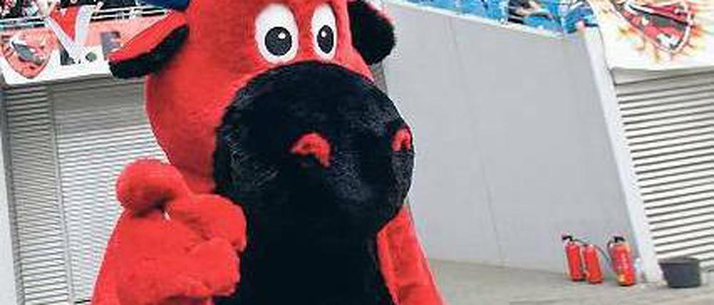Rinder-Wahnsinn. Das RB-Maskottchen jubelt nun im Leipziger WM-Stadion. Foto: dpa