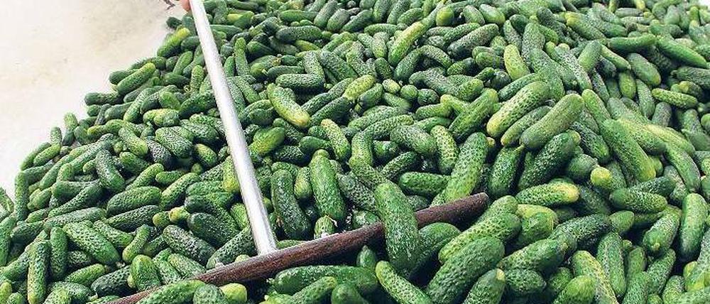 Alles bio – auch beim Gemüse. In Deutschland sind Ökowaren beliebt.