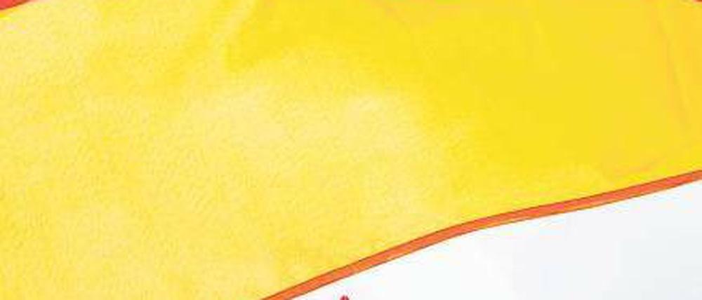 In Feierlaune. Für die Anhänger des deutschen WM-Teams ist die Fanmeile, wie schon vor vier Jahren, wieder der zentrale Treffpunkt für das Public Viewing. Foto: Imago