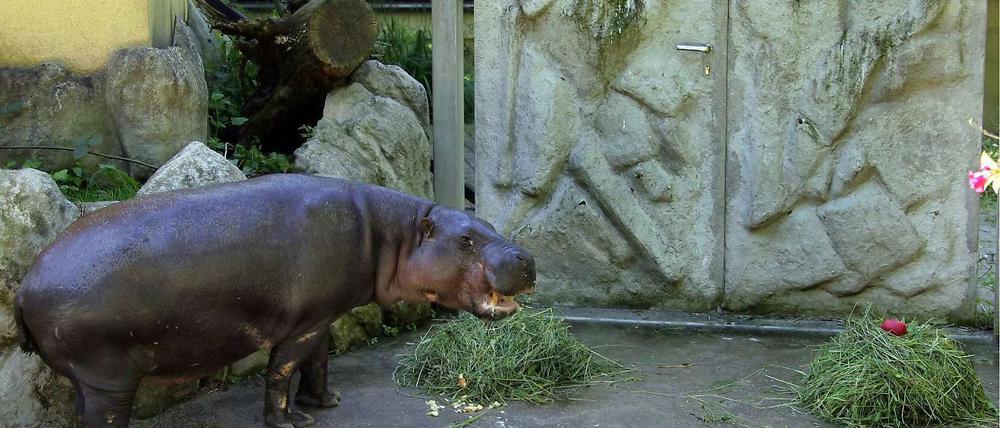 Hoffentlich hat Petty den richtigen Geschmack.