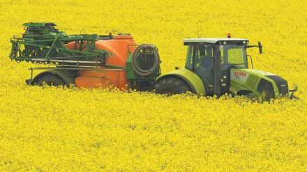 Gute Ernte. Die Landwirtschaft erhielt im vergangenen Jahr 11,4 Milliarden Euro an Subventionen und ist damit der zweitgrößte Nutznießer staatlicher Förderung.