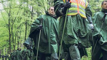 Im Wald bei Nietheim. Foto: dpa