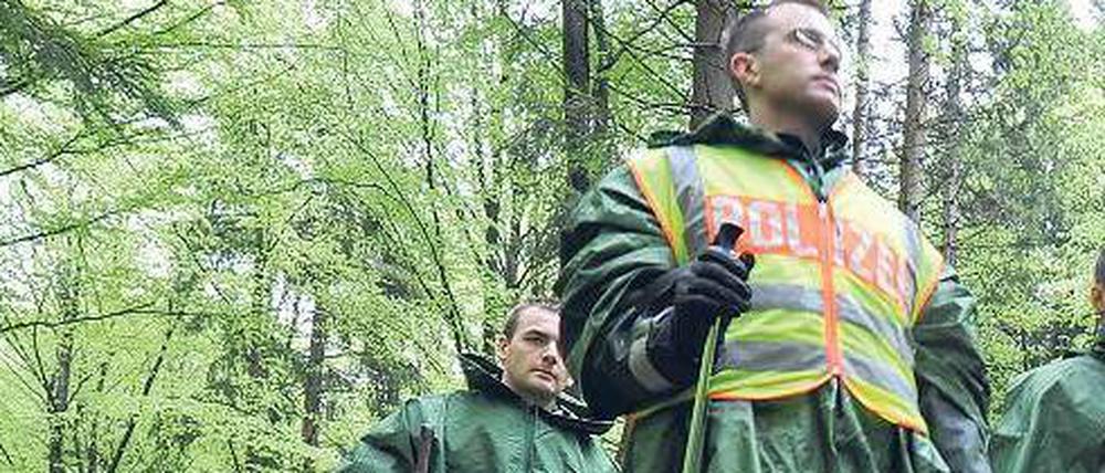 Im Wald bei Nietheim. Foto: dpa