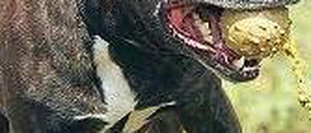 Foto: dpa