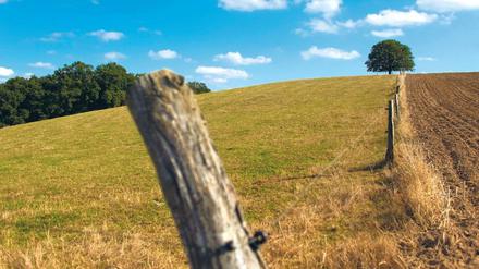 Weites Land. Brandenburg wird in den nächsten 20 Jahren menschenleerer. 