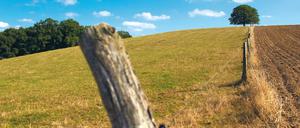 Weites Land. Brandenburg wird in den nächsten 20 Jahren menschenleerer.