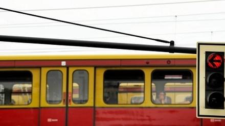 312502_3_Junge-Re_ddp.jpg