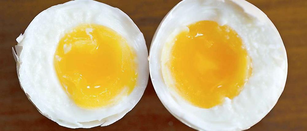 Bye, bye Frühstücksei? Dioxinverseuchter Mais ist auch nach Brandenburg geliefert worden.