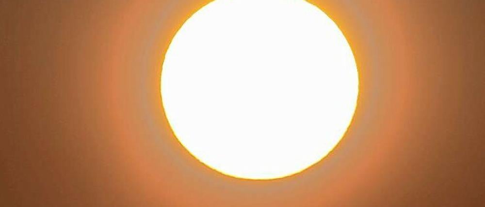 Wasserspender? Die Sonne.