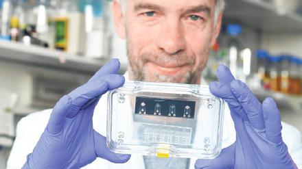 Testplattform von morgen. Roland Lauster und sein Team arbeiten an einem Biochip. In den mikroskopisch kleinen Vertiefungen wollen sie Miniatur-Organe züchten und daran beispielsweise die Wirkung von Arzneien oder Chemikalien testen. Foto: TU Pressestelle/Dahl