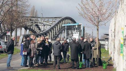 Der Erste. Kirschbäume sollen an der Bösebrücke eine Zeitleiste bilden, auf der sich Ereignisse am Abend des 9. Novembers ablesen lassen. Foto: Peters / Simulation: promo