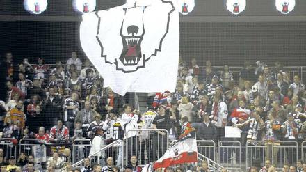 Unter dem Zeichen des Eisbären. Die treuesten Berliner Anhänger feuern ihre Mannschaft von der Stehplatztribüne aus an.