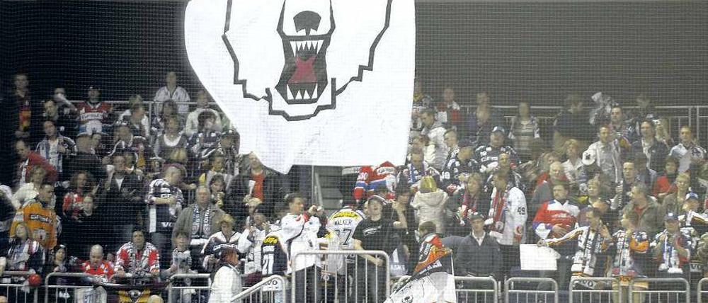 Unter dem Zeichen des Eisbären. Die treuesten Berliner Anhänger feuern ihre Mannschaft von der Stehplatztribüne aus an.