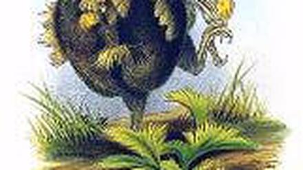 326991_0_de0dafb8.jpg