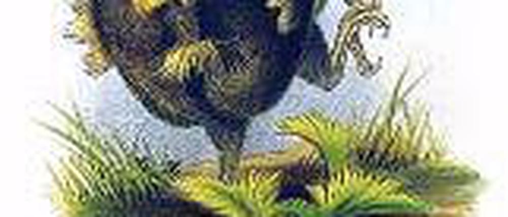 326991_0_de0dafb8.jpg