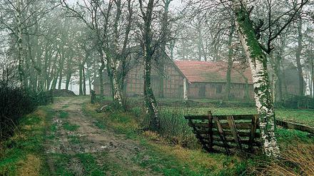 324223_0_5dd5d822.jpg