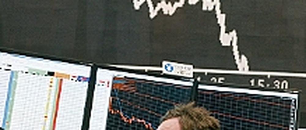 321118_0_d7aac795.jpg