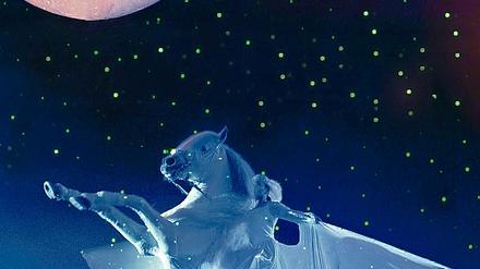 320534_0_5b2c6b26.jpg