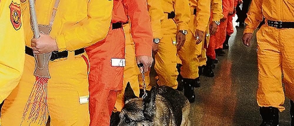 319879_0_dc3672a2.jpg