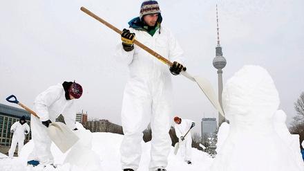 319461_3_xio-fcmsimage-20100121205932-006004-4b58b22488743.heprodimagesfotos83120100122mori_schneemanndemo_05.jpg
