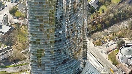 317544_0_deced82e.jpg