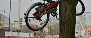 317113_0_830b3925.jpg