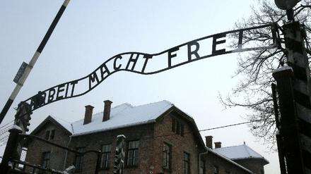 auschwitz_dpa
