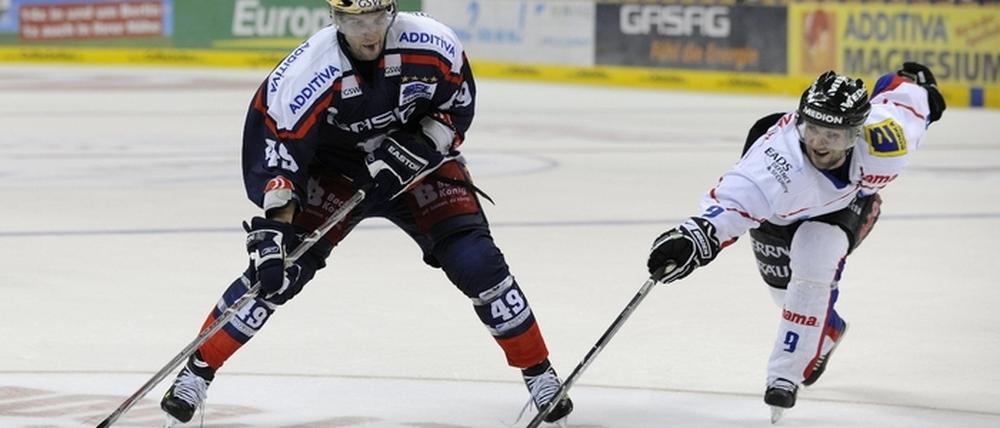 Eisbären Berlin - ERC Ingolstadt