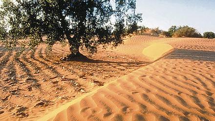 314028_0_8990960f.jpg