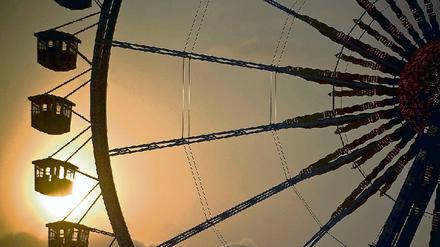 315410_0_aaded2d2.jpg