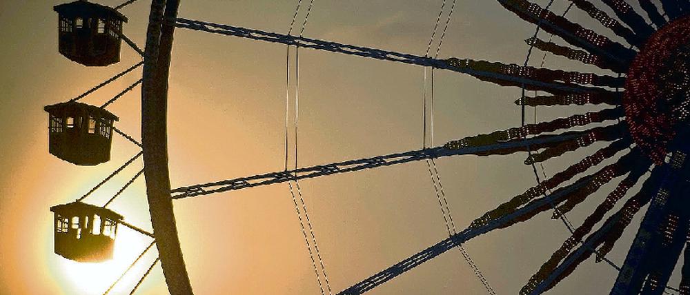 315410_0_aaded2d2.jpg