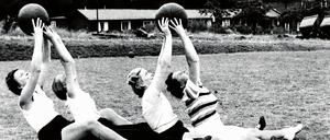 312837_0_45e09c7e.jpg