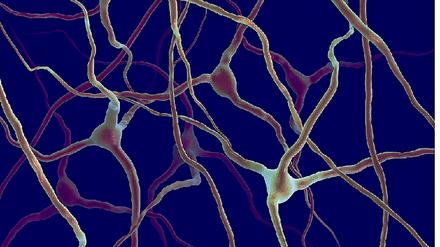 311374_0_d720dbc1.jpg
