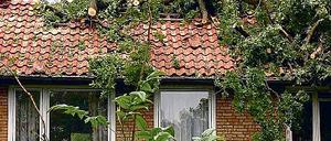 310794_0_9e4675d3.jpg