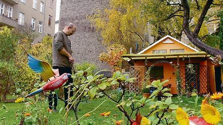 311572_0_929de8e0.jpg
