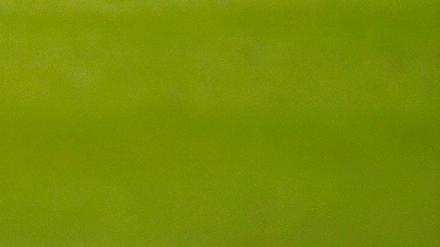 308773_0_722962fd.jpg