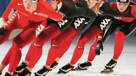 307841_0_069cf35b.jpg