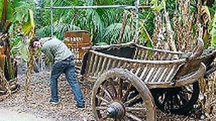 308288_0_d1c08fe7.jpg