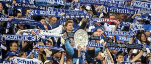 FC Schalke 04 - Hamburger SV