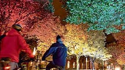 306593_0_111dd7b6.jpg