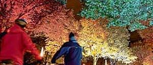 306593_0_111dd7b6.jpg