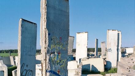 302960_0_397f7666.jpg