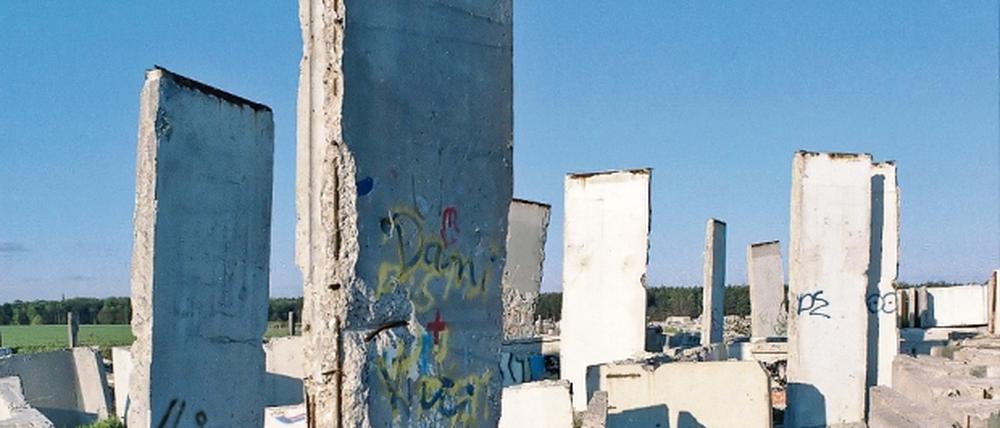 302960_0_397f7666.jpg