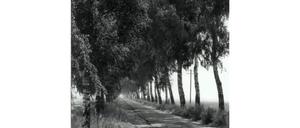 302954_0_dae3beb7.jpg