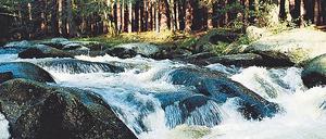 301681_0_b864b8cb.jpg