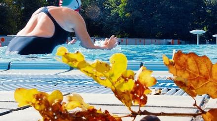 301523_3_xio-fcmsimage-20090925223454-006001-4abd296e6cb2b.heprodimagesfotos83120090926prinzenbad002.jpg