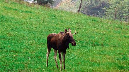 301518_0_1ec95c08.jpg